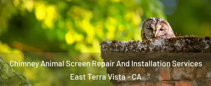 Chimney Animal Screen Repair And Installation Services East Terra Vista - CA