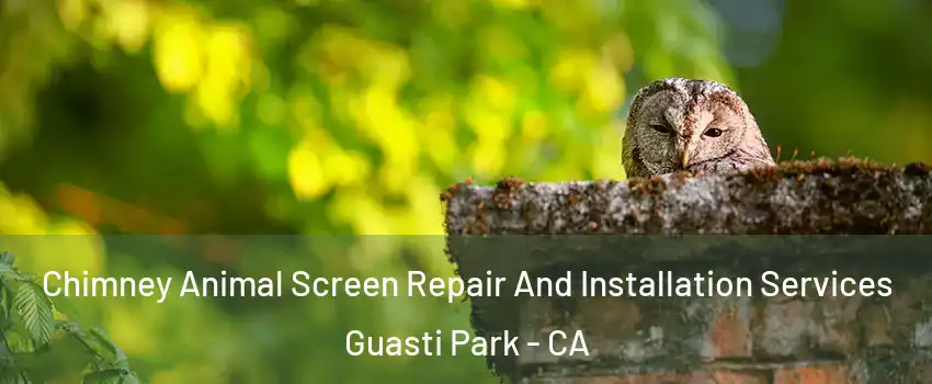 Chimney Animal Screen Repair And Installation Services Guasti Park - CA