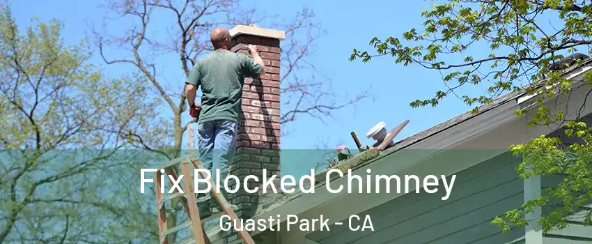 Fix Blocked Chimney Guasti Park - CA