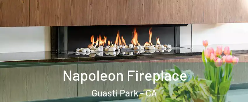 Napoleon Fireplace Guasti Park - CA