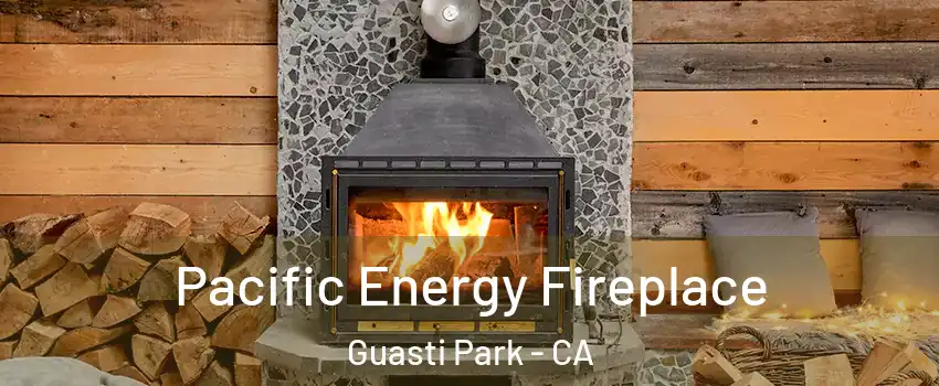 Pacific Energy Fireplace Guasti Park - CA